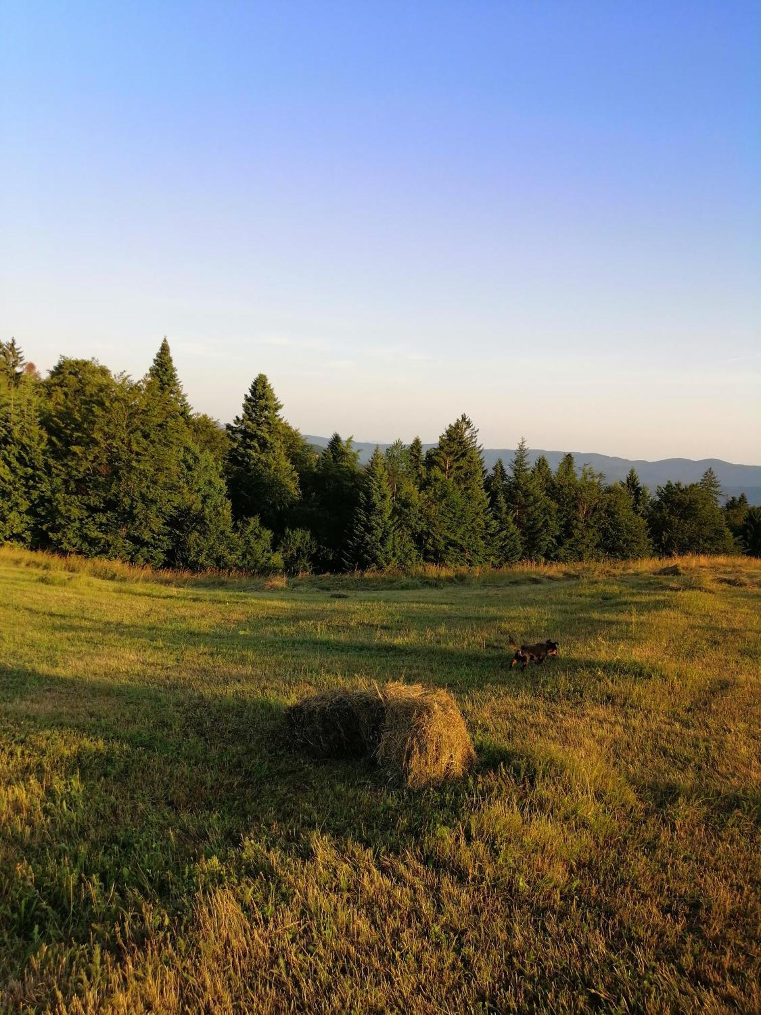 Appartamento Tarin Zov Kaludjerske Bare Esterno foto