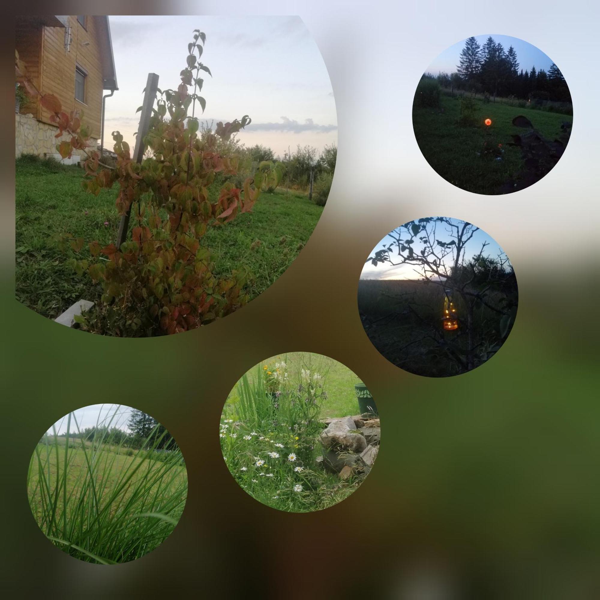 Appartamento Tarin Zov Kaludjerske Bare Esterno foto