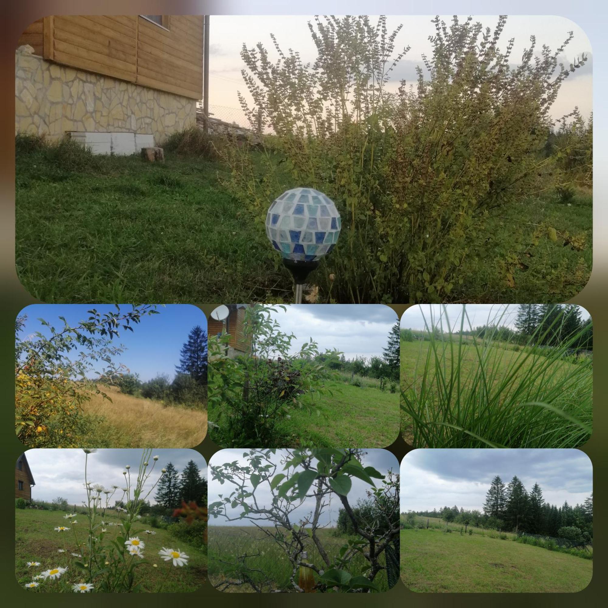 Appartamento Tarin Zov Kaludjerske Bare Esterno foto