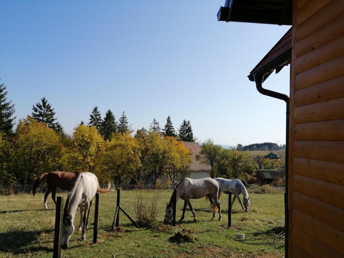Appartamento Tarin Zov Kaludjerske Bare Esterno foto